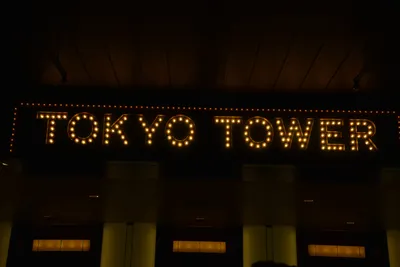 DSC_3243 (Large).JPG